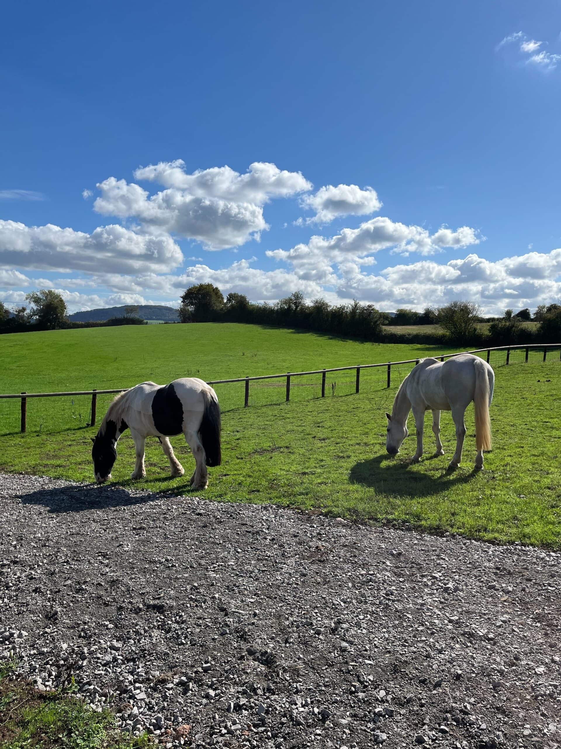 The beautiful surroundings of Rockfield Studios UK